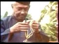 pentjak silat gayong 70s training   part ii