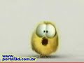 Pintinho canta Vai toma no cu