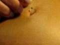 videos de pin in belly button