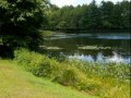 Lakefront Estate Property for Sale
