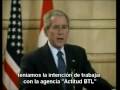 videos de Viral Bush