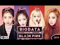 Biodata Blackpink Lengkap Dengan Agamanya (Bahasa