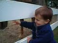 Feeding The Horse