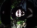Click here to watch this video Drunk adventures