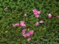 at each minute, at each second, we cross small moments all at
the same time banals and magic which should not be forgotten to look
at, they are these 