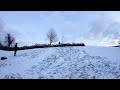 stalefish snowboard