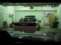 Police arrest taser woman again
