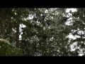 Click here to watch this video Its Always Snowing Somewhere