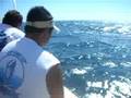 albacore fishing 06/08