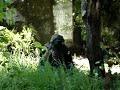 paintball target paintball target
