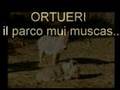 Foto v�deo