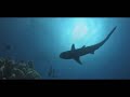 bande annonce
le concept tv - s�rie 