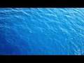 Sea Monsters 3D - Urgiganten der Meere