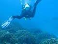 Scuba Diving Similan Islands Scuba Diving Similan Islands