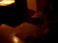 videos de Alkohol am Steuer :D