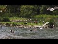 Arundel Wildfowl & Wetland Trust