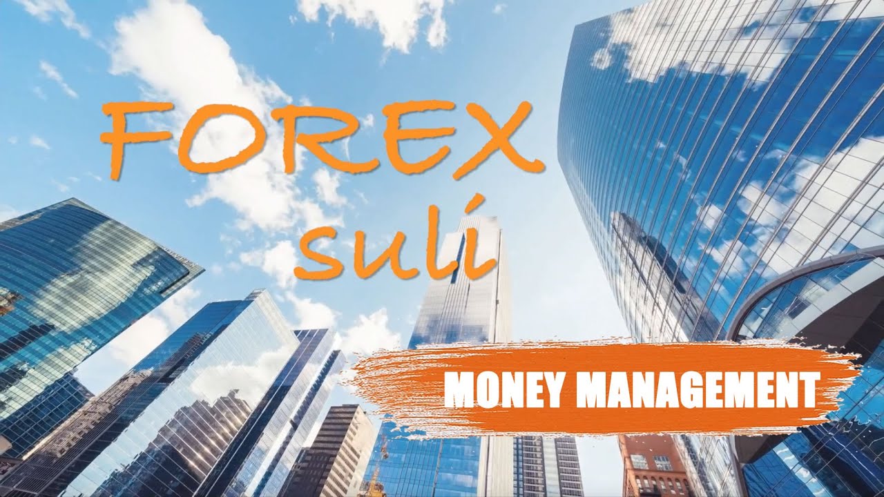 Forex suli 4.   Money Management