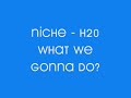 Niche - H20 - What We Gonna Do?/What's It Gonna Be?