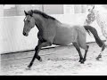 Mes animaux(docteur jivago) Mes animaux(docteur jivago)