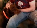 Osce and Harley.mov