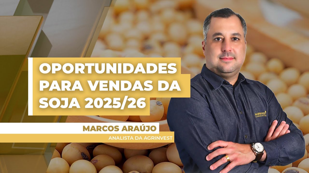 Soja 2025/26: Brasil tem prêmios positivos e boas chances de comercialização, com boas margens