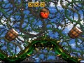 Lets Play DKC 2 Part 23: BRAMBLES!!!