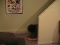 Random video #4:  falling down some stairs!