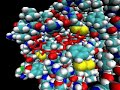 Protein flexibilty and ligand complementarity Protein flexibilty and ligand complementarity