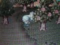 おいでよ どうぶつの森動画
