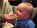 Lemon Baby