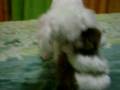 videos de MOV00019.AVI
