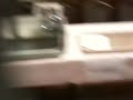 IMG 0390