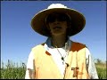 ODOT creates wetlands bank near Prineville ODOT creates wetlands bank near Prineville
