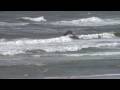 Kite Surfing in Holland - Humungus Weekendus