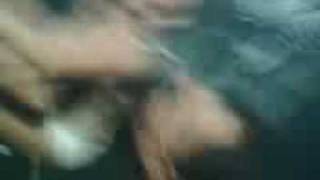 julia perez egen at liquid jogja