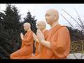 videos de Sutra of Amitabhar 阿弥陀经