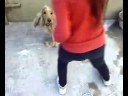 la milonga del perro!! arre
