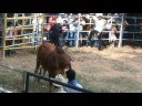 santo domingo petapa oaxaca jaripeo 2008 1