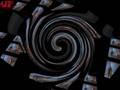 videos de MSG [ TIME ]STEREO AUDIO-TRACK