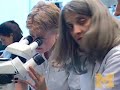 The truth about stem cell science The truth about stem cell science