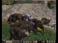 Metin2 Lyra Shinsoo