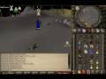 Rot Summer 07 Montage
