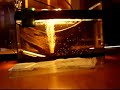 aquario de 200 litros 