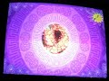 Viva Pinata Horstachio Romance Game