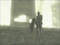 Physics in SotC? 8O