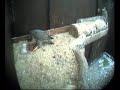 peregrine-falcons.html
