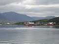 Bottle-nosed whale in Akureyri by Bernard Bottle-nosed whale in Akureyri by Bernard