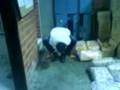 videos de SPITERMAN