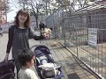 動物園
