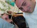 videos de il mio meraviglioso labrador black.wmv